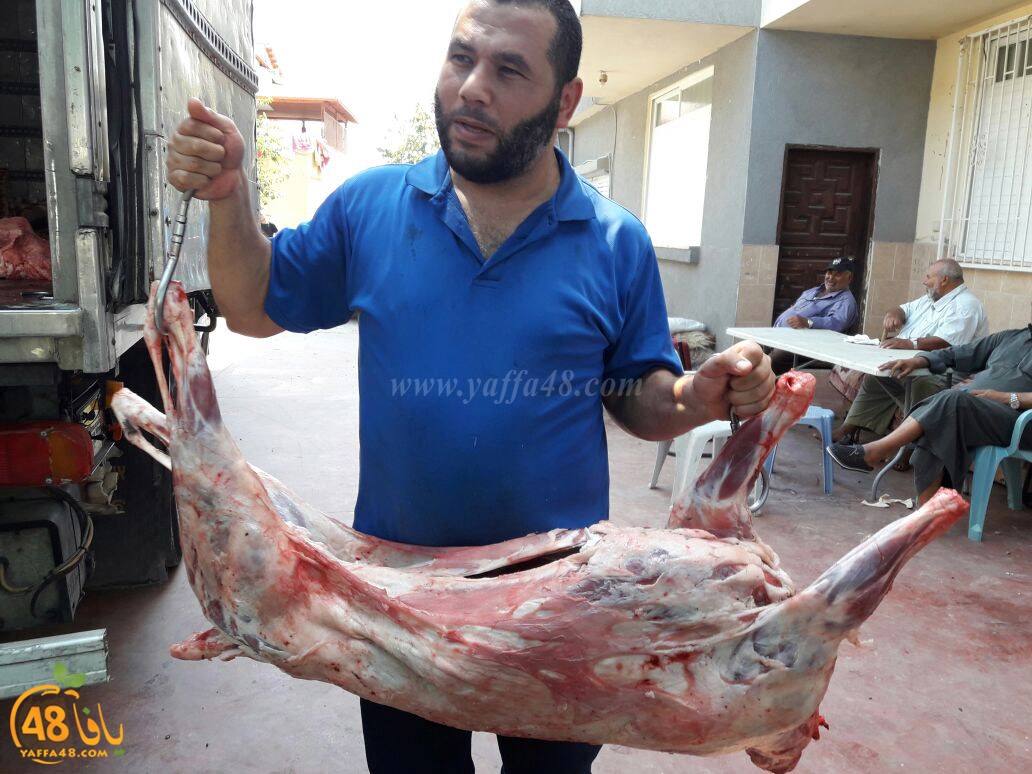 jam3o7sayasa (6).jpg